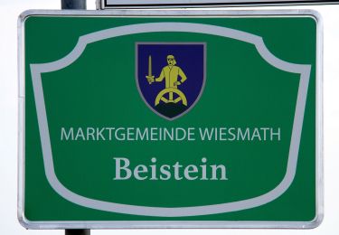 Tour Zu Fuß Gemeinde Wiesmath - Wiesmath - Lehen - Sommerhäuser - Schwarzenberg - Stadtweg - Wiesmath - Photo