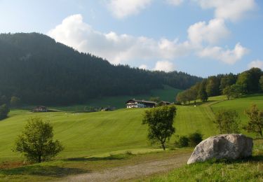 Tocht Te voet Ramsau bei Berchtesgaden - Wanderweg 75 (Rund um den Schmuckenstein) - Photo