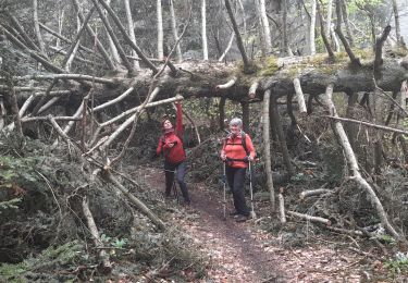 Trail Walking Chindrieux - SAPENAY - CLERGEON - GRANDE CUVE - GROS FOUG : 22 km - Photo