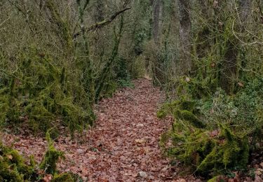 Trail Walking Larnas - Imbours - Photo