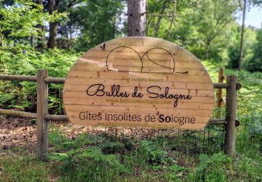 Randonnée V.T.T. Brinon-sur-Sauldre - Sologne balade VTT domaine des bulles - Photo
