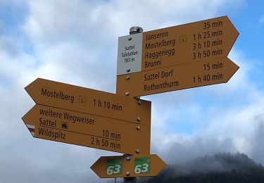 Trail On foot Sattel - Sattel Talstation - Mostelberg - Photo