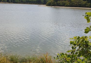 Tour Wandern Coignières - rambouillet - Photo