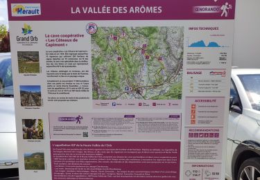Tour Wandern Hérépian - vallée des arômes  - Photo