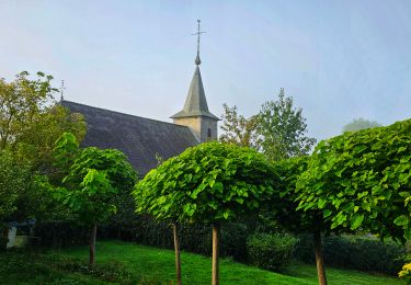 Tour Wandern Philippeville - Balade de Roly à Villers-en-Fagne - Photo