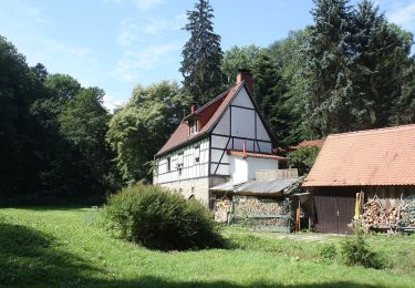 Tour Zu Fuß Bad Bibra - Schnecktalweg - Photo