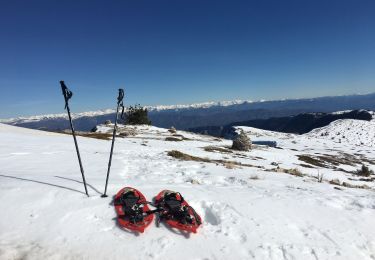 Trail Snowshoes Saint-Étienne-les-Orgues - Station - sommet de Lure - Photo