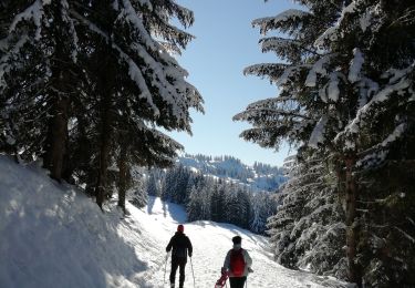 Percorso Marcia Les Gets - 74 raquettes gets 9km 01/2020 - Photo