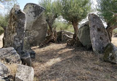 Tocht Te voet Monsaraz - Rota dos Menires - Photo