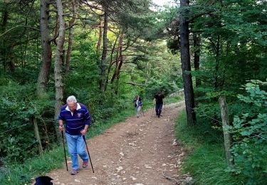 Trail Walking Presles - Serre Cocu - Photo
