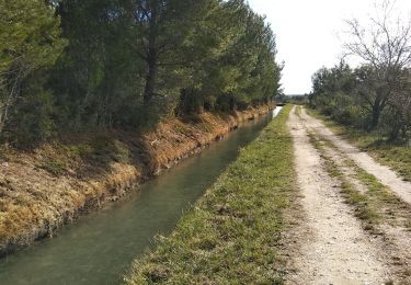 Randonnée Marche Mouriès - caisses de jean jean/canal des baux - Photo