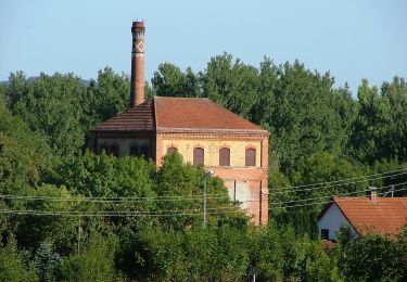 Percorso A piedi Aitrach - Aitracher Illerweg - Photo