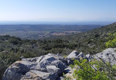 Tocht Trail Opoul-Périllos - col de la sabine - Photo