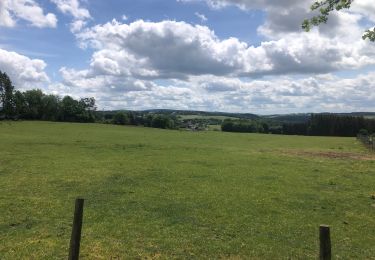 Randonnée Marche Érezée - Erezee rode ruit mooi  - Photo