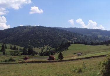 Percorso A piedi  - Rez-nyaka - Vf. Teascul - Pasul Chiozrez - Photo