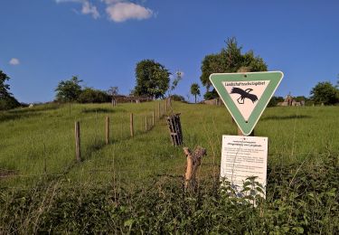 Randonnée A pied Schaafheim - Rundwanderweg Schaafheim 3 : Richelieu-Weg - Photo