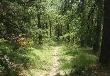 Trail Walking Puy-Saint-Eusèbe - testt - Photo