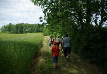 Tour Wandern Aurimont - 2020-05-17_21h44m57_le-chemin-d-en-jannet-carreau-aurimont - Photo