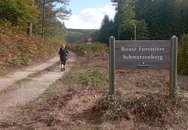Tocht Stappen Baerenthal - muhlthal route brambach Schwartzenberg  - Photo