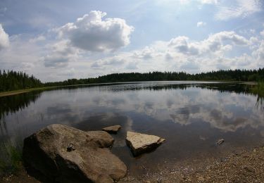 Tocht Te voet Onbekend - Gul 9 km - Photo