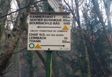 Randonnée Marche Aspach-Michelbach - Aspach le Haut (6/12/2018) - Photo