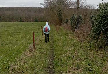 Trail Walking Charleroi - mont sur marchienne dans les bois - Photo