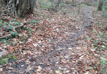 Tocht Stappen Petit-Couronne - Petit Couronne vers le puys Hébert- Variante  2 11km - Photo