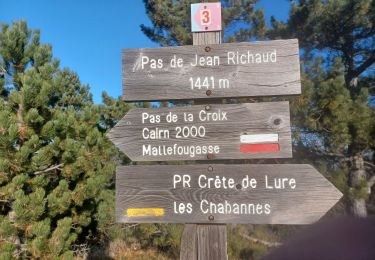 Excursión Senderismo Aubignosc - CHATEAU NEUF VAL S DONNAT  , jas de Mathieu , crêtes de Lure , Pas de Jean RICHARD o n  - Photo