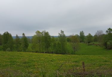 Tocht Te voet Onbekend - Flämsjön runt - Photo