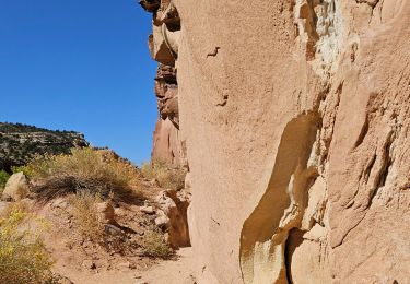 Tocht Stappen  - 2024 Capitol Reef Hickman Bridge - Photo