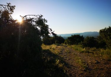 Trail Nordic walking Saint-Ambroix - 21.05.20 piste  - Photo