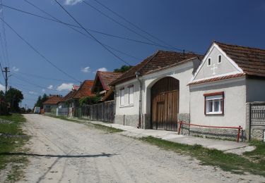 Tocht Te voet Onbekend - Cârțișoara - Cabana Vama Cucului - Cabana Bâlea Cascadă - Photo