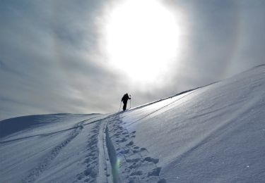 Percorso Sci alpinismo La Léchère - Col de Montartier à Ski - Photo