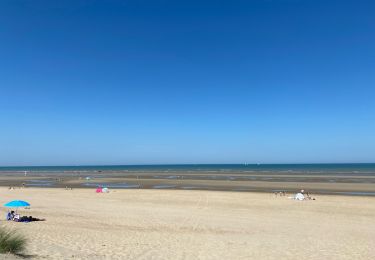 Tocht Stappen Koksijde - Coxyde - Photo