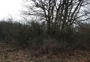 Randonnée Marche Parmilieu - nouveau chemin des bigues - Photo