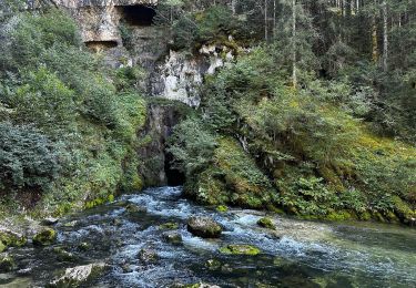 Randonnée Marche Mouthe - La source du Doubs à Mouthe - Photo