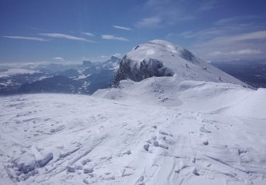 Trail Touring skiing Corrençon-en-Vercors - tête chaudière et petite moucherolle - Photo