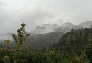 Tocht Stappen Bohinj - Triglav J2 - Photo