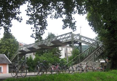 Tocht Te voet Gemeinde Klosterneuburg - Kritzendorf-Redlinger Hütte - Photo