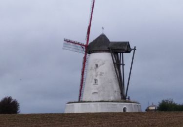 Tour Wandern Ath - Rando des Collines J3 - Photo