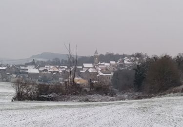 Randonnée Marche Royer - Royer Frjep - Photo