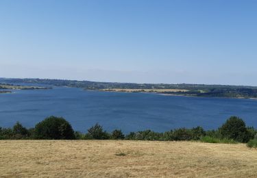 Tocht Stappen Salles-Curan - vierge des lacs - Photo