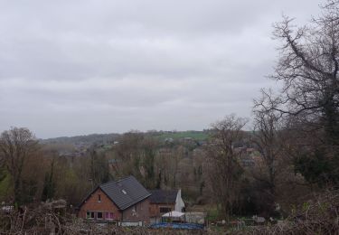 Randonnée Marche Bassenge - Haute froidmont - Photo