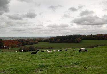 Randonnée Marche Theux - tour  des fermes. f airifagne . f wisselez . Mont . hodbomont . f st Remacle - Photo