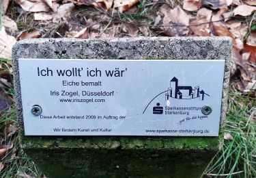Excursión A pie Rimbach - Rundwanderweg Rimbach 5: Wechnitztaler Berg-Tour - Photo