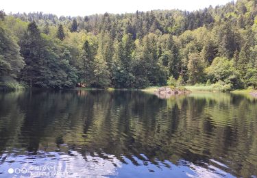 Trail Walking Lepuix - Saut de la truite - Photo