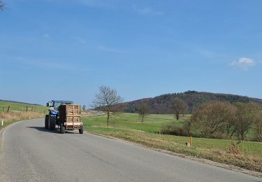 Trail On foot Gemeinde Wienerwald - Gemeinde Wienerwald Rundwanderweg 6 bei Sittendorf - Photo