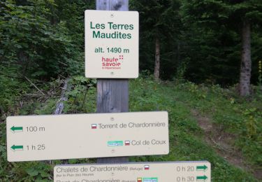 Percorso Marcia Morzine - boucle lac des mines d'or, chardonnerai, freterol - Photo