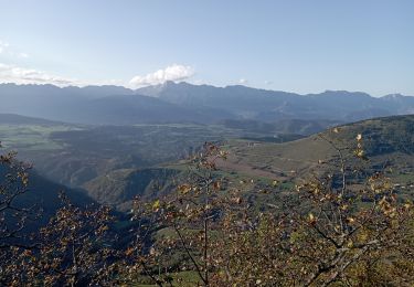 Tour Wandern La Motte-d'Aveillans - petite balade  - Photo