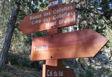 Tour Wandern Toudon - FFR - la Cime des Colettes  - Photo